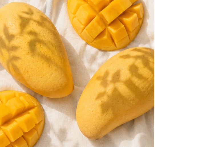 애플망고 프리미엄