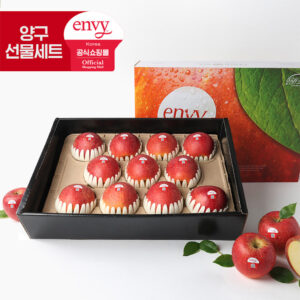 [엔비정품독점]직접키운 양구 명품엔비사과 4.1KG(10-12입)
